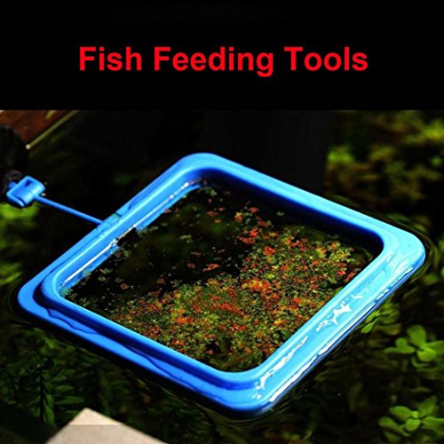Nesee Fish Feeding Tool,Feeding Ring Aquarium Fish Tank Station Floating Food Tary Feeder PVC Blue (B)