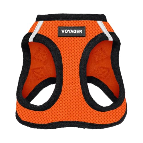 Voyager Step-In Air Dog Harness - All Weather Mesh, Reflective, No Pull Harness for Small, Medium Dogs, Cats - Secure with Hook & Loop Fastener, Buckle, Double D-Rings - Orange/Black Trim, L