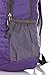 Outlander Packable Handy Lightweight Travel Hiking Backpack Daypack, Purple-L