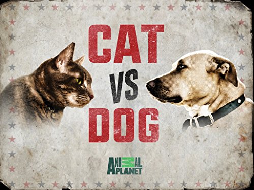 Cat vs. Dog Season 1