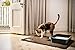 Smiling Paws BPA-Free Urine-Proof Cat Litter Mat, Extra Large, Elegant Brown