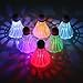OUTERA [6-Pieces] LED Shuttlecock Badminton Birdies Set Badminton Glow in The Dark Shuttlecocks Lighting for Outdoor Fun for Your Family[1 Year Warranty]