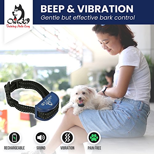 menards shock collar