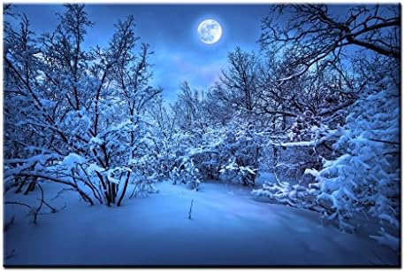KuyiArt- Single Panel Canvas Wall Art,4 seasons View,Framed Art and Stretched Prints for Home and Office Wall Decoration, Giclee Canvas Print,16x24'-Winter Snow