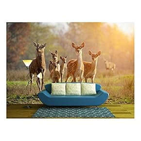 Deer in Autumn Field - Removable Wall Mural | Self-Adhesive Large Wallpaper - 66x96 inches