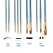 Paint Brushes 50 Pcs, heartybay Nylon Hair Brushes Set Acrylic Blue Round Pointed Paints Brush for Watercolor Oil Painting