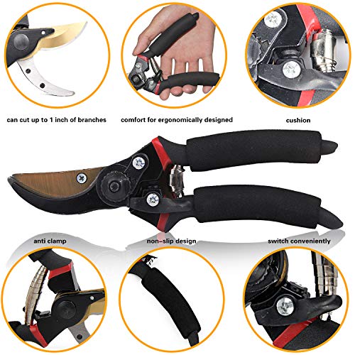 image for EONLION Pruning Shears, 8 Inch Professional Sharp Bypass Garden Shear