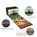 Eggsnow Toy Chest Toys Storage Bin Box Collapsible Toy Organizer Dinosaur Collector Toy Box with Play Mat for Toys and Clothes-Brown(Dinosaurs Not Included)