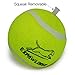 Squeaky Tennis Balls for Dogs - Premium Toy for Pet Training 12-pack
