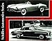 Mercedes-Benz 190sl 1955-1963 (Schiffer Automotive)