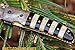 DKC Knives (40 6/18) DKC-105 Bumble BEE Damascus Folding Pocket Knife 4.5