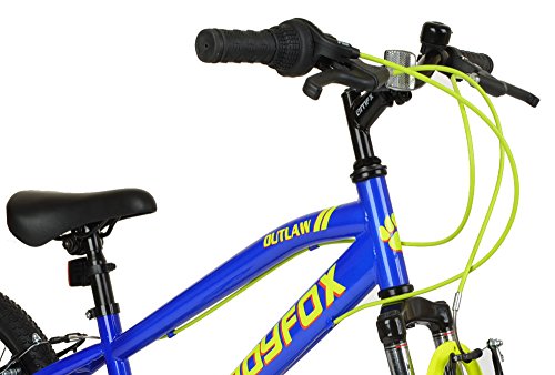 blue muddyfox mountain bike