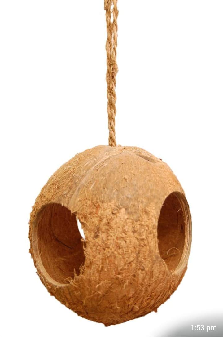 Jkt Coconut Shell Bird Feeder 3 Hole Type 100 Natural Coconut