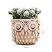SUN-E 2.75 Inch Ceramic Owl Pattern Succulent Cactus Plant Pots Flower Pots Planters Containers Window Boxes Bonsai Pots Perfect for Candle Holder with Small Hole 6 Colors in Set