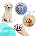 Dog Toys 12 Pack Gift Set-SUMGOTT Ball Rope and Chew Ropes Toys for Medium to Small Pet Teething Toys