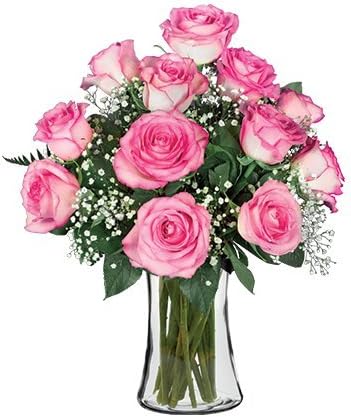 Blooms Today 12 Pink Long-Stem Roses With Vase