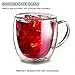 Large Double Wall Insulated Glass Coffee mugs with Lids Set of 2-12 Ounce Clear Cups for Tea Latte Cappuccino Espresso - Includes 2 Wooden Spoons