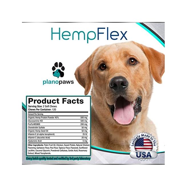 best glucosamine and chondroitin for dogs