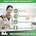 Advanced Hemp Chews for Dogs, Hip and Joint Supplement for Pain and Stress Relief, Separation Anxiety, Calming, Glucosamine and Turmeric Plus Natural Hemp Oil-Infused Treats, Maximum Potency