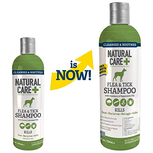 Natural Care Flea and Tick Dog Shampoo | Flea Treatment for Dogs | Flea Killer with Certified Natural Oils | 12 Ounces