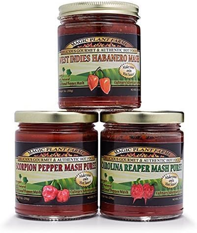 MASH Trinidad Moruga Scorpion Pepper by Magic Plant