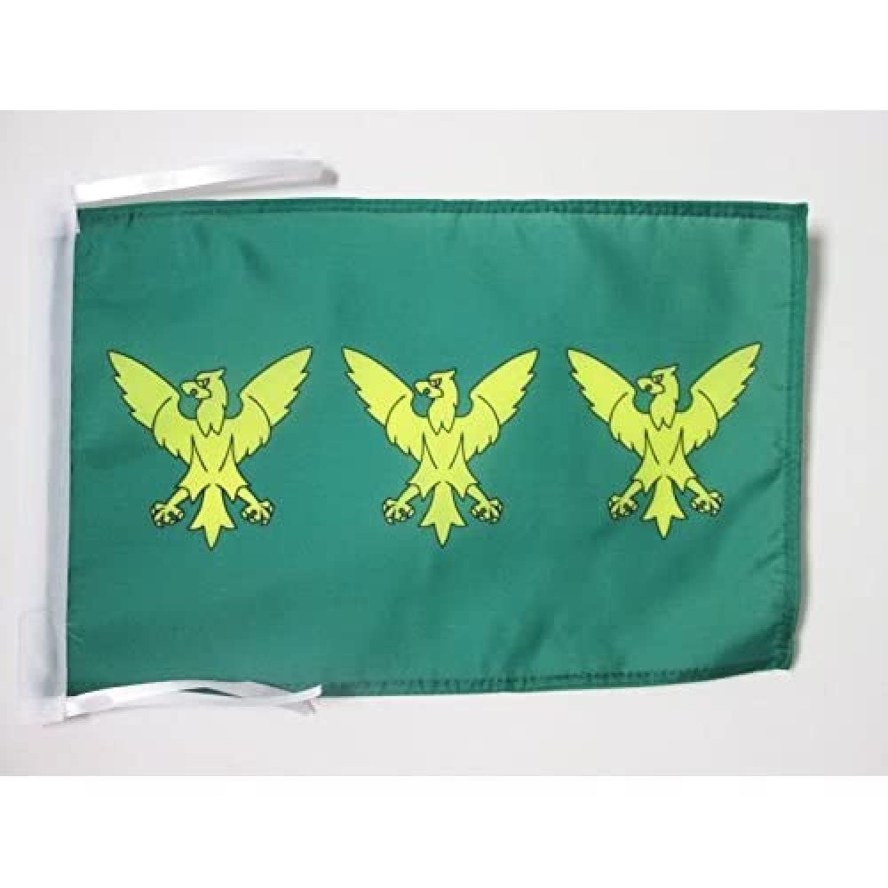 AZ FLAG - Caernarfonshire county Flag - 18'' x 12'' - 100% Polyester Caernarvonshire - Walles Small Banner with Two Cords - Fade Resistant - Vivid Colors - 18x12 in - 45x30 Cm