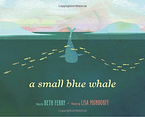 A Small Blue Whale