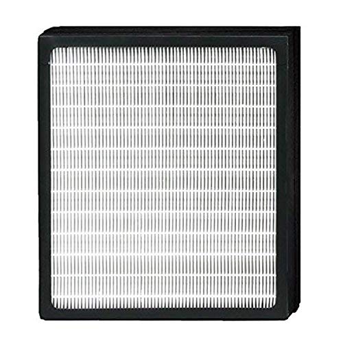 XINXI Replacement Idylis Air Purifier Filters D 1 Pack Hepa & Carbon