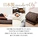 EMOOR Japanese Futon Mattress Ones-2