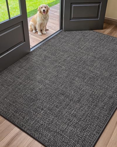 COLOR&GEOMETRY LARGE THIN FRONT DOOR MAT INDOOR ENTRANCE NON SLIP RUBBER BACKED, 32″X48″ INDOOR DOOR MATS FOR ENTRYWAY, DIRT TRAPPER DOUBLE DOORMAT, WASHABLE FRONT DOOR RUGS, CHARCOAL GREY
