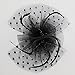 Fascinators Sinamay Hats for Women for Tea Party Kentucky Derby Wedding Cocktail Mesh Feathers Hair Clip Black