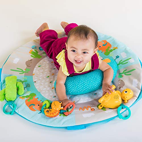 Bright Starts 4in1 Rounds of Fun Activity Gym & Ball Pit, Newborn