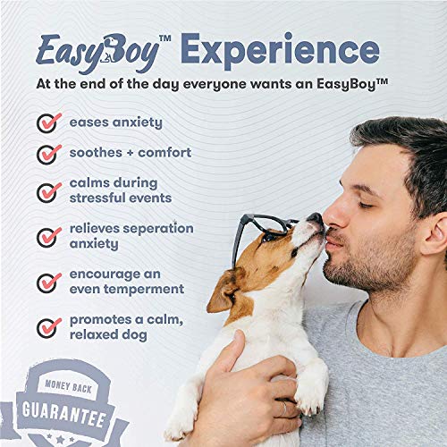 Dog Calming Treats for Dogs with Anxiety Dog Anxiety Relief calming