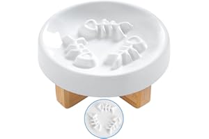 DDMOMMY Ceramic Cat Dog Feeder, Slow Feed Bowl with Stand, 2.5'' High, 5.2'' Wide, Whisker Friendly, Easy to Clean, for Cats and Small Dogs