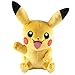 Pokemon 20th Anniversary Plush