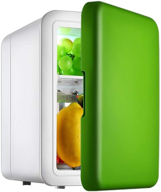 Mini Fridge Electric Cooler & Warmer AC/DC Portable