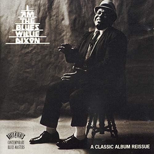 Amazon.com: The Sky Is Crying: The History of Elmore James: CDs