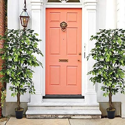 6 Ft Artificial Tree, 72 in Fake Tree, Faux Tree for Home Decor, Office, Lounge, Patio, w/t Green Leaves and Realistic… 516864naPqL