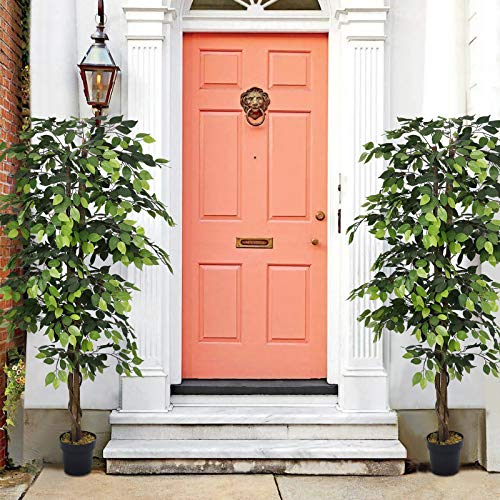 516864naPqL 516864naPqL