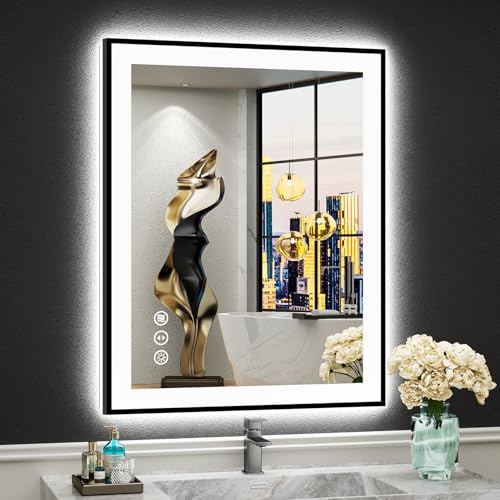 AWANDEE 24x30 LED Bathroom Mirror Black Framed