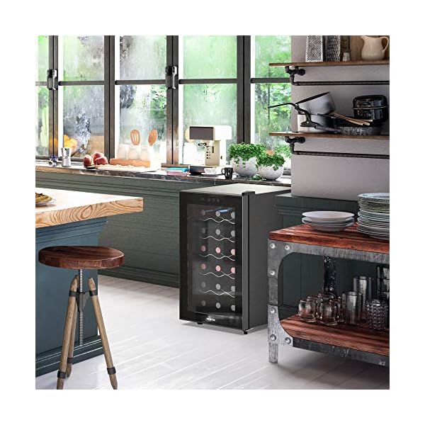 hOmelabs-18-Bottle-Wine-Cooler-Free-Standing-Single-Zone-Fridge-and-Chiller-for-Red-and-White-Wines