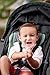 Graco LiteRider LX Stroller Travel System, Landry