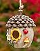 Dawhud Direct Hanging Bird House - Hand-Painted, Durable Polyresin Bird Houses for Outside - Decorative, Weather-Resistant Acorn Cottage for Garden, Deck, and Patio