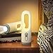 Rechargeable Nightlight/Flashlight