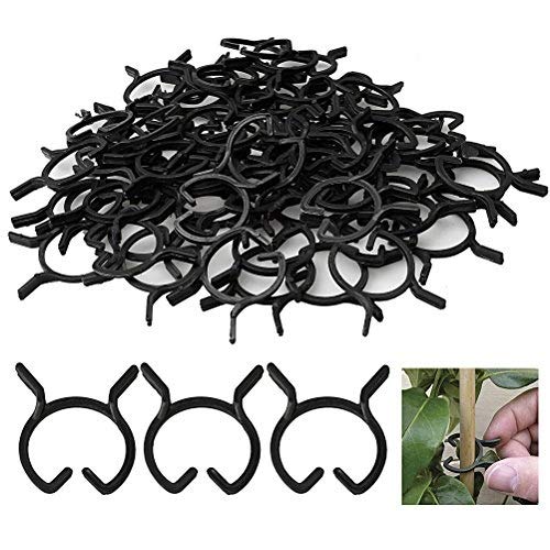 Kuou 100 Clips de Jardín Plantas, Clip de Soporte de Tallo para ...