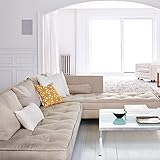 Bose Virtually Invisible 891