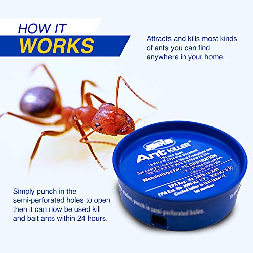 5 Home+Plus+Food+Based+Attractants+Pesticide+Free