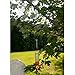 Evelots Tree Hanging Hook-Metal-11 to 24 inch-Bird Feeder/Plants-No Tool-Set/5