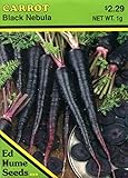 Black Nebula Carrot Seeds - 1 g