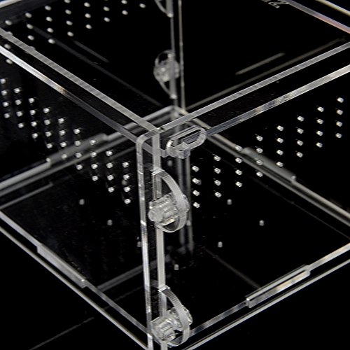 image for OSHIDE Acrylic Transparent Reptiles Terrarium Container for Lizard Cha
